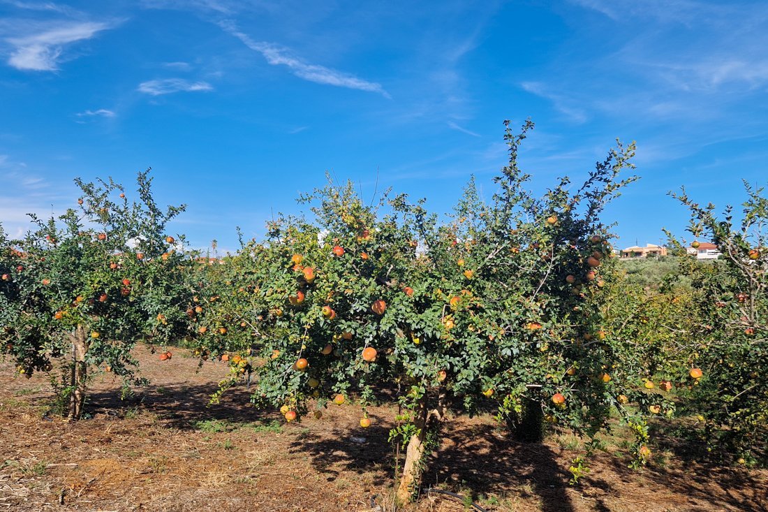 pe_achterland_kalonero_24_cb (7).jpg