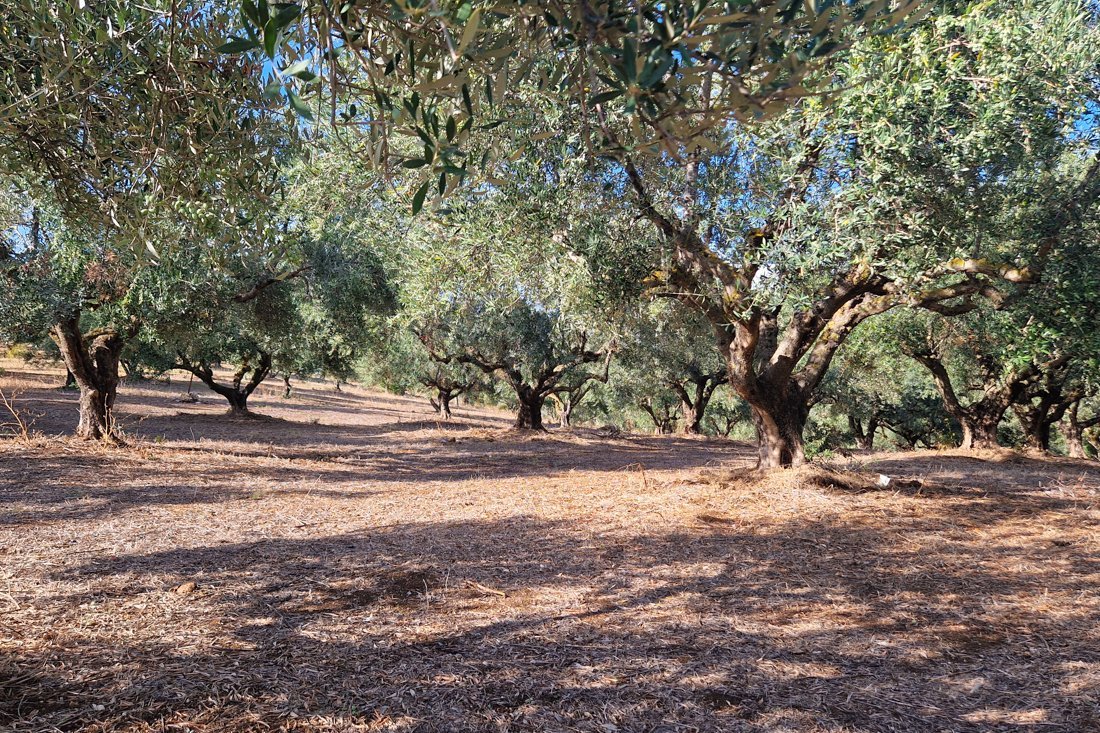 pe_achterland_kalonero_24_cb (11).jpg