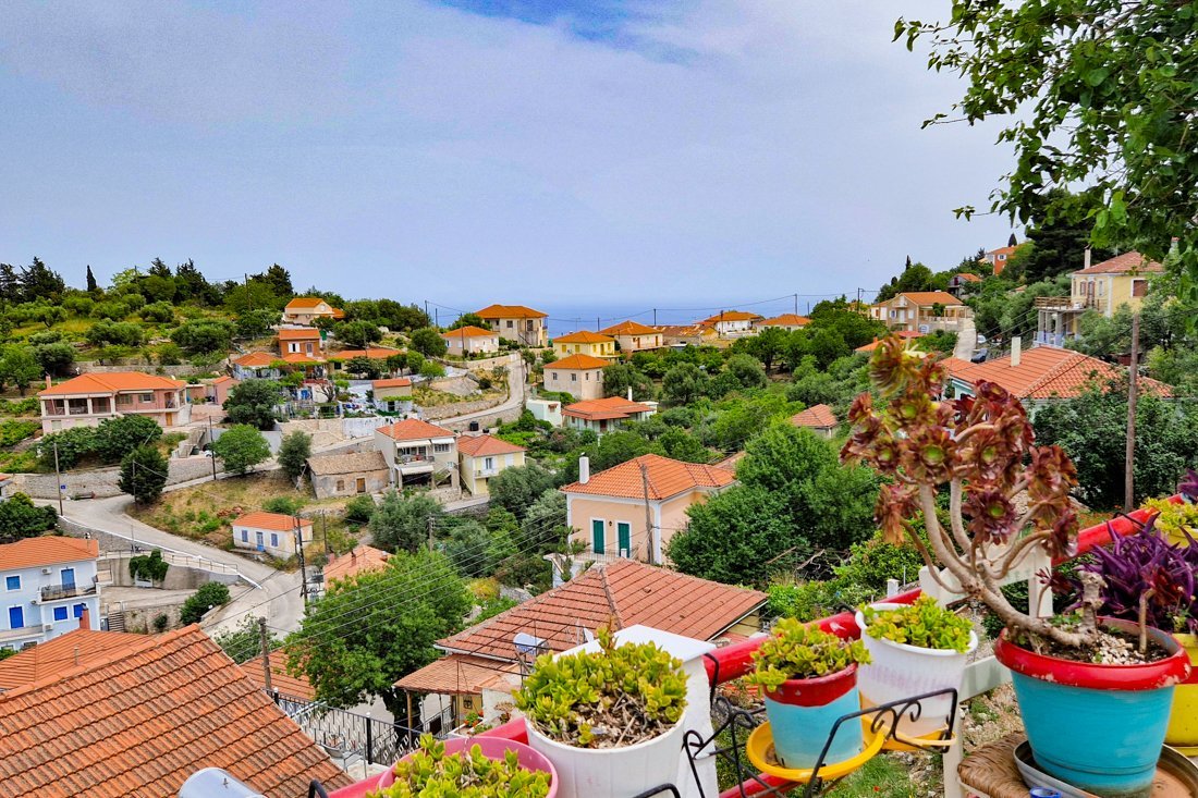 it_perachori_24_cb (15).jpg