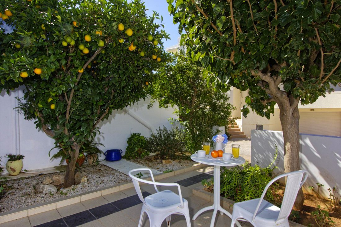 wk_mear_wa_24_ag (2).jpg