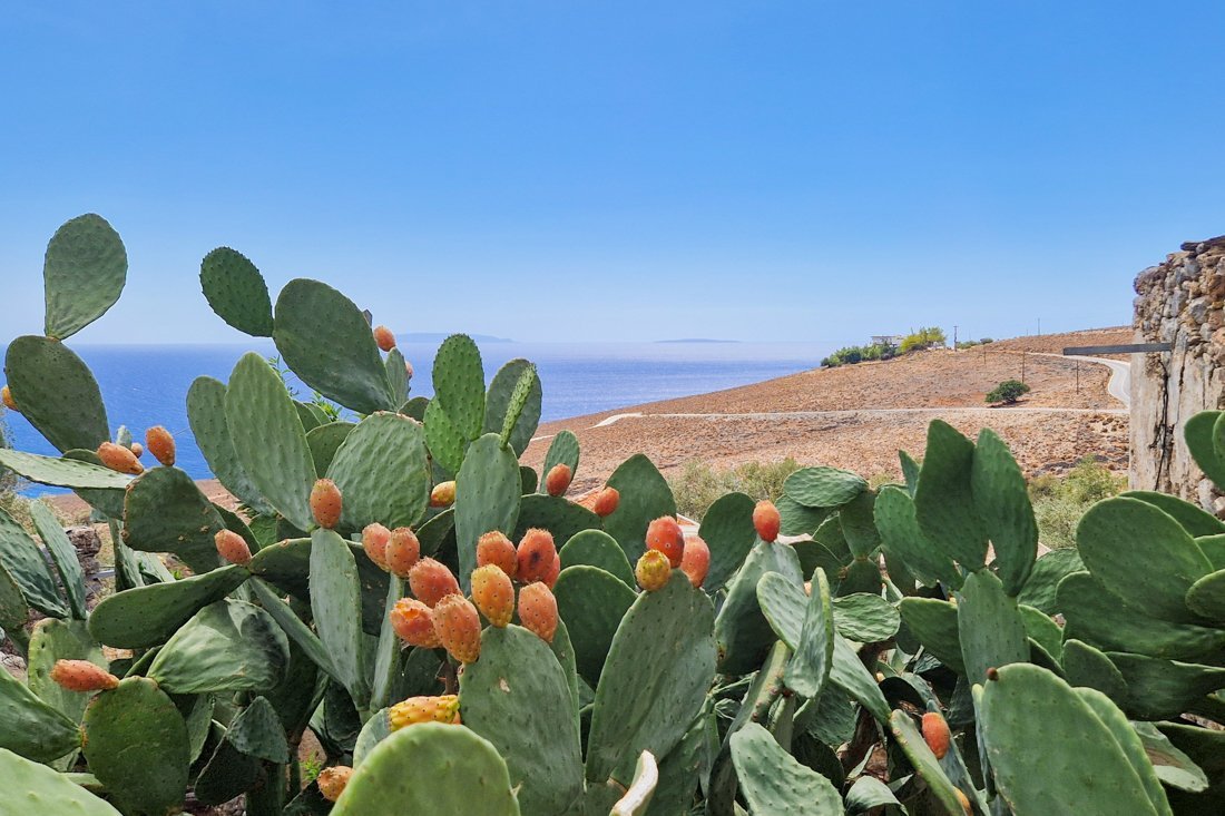 wk_chorasfakia_komitades_24_cb (7).jpg