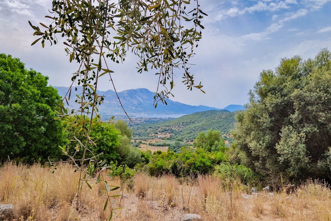 pa_ancientpaleros_24_cb (22).jpg