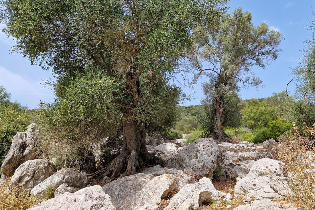 paleros_omgeving_24_cb (8).jpg