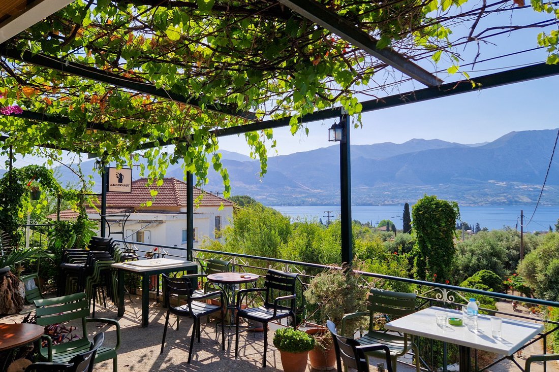 pogonia_24_cb (58).jpg