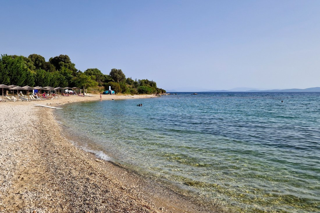 pogonia_24_cb (25).jpg