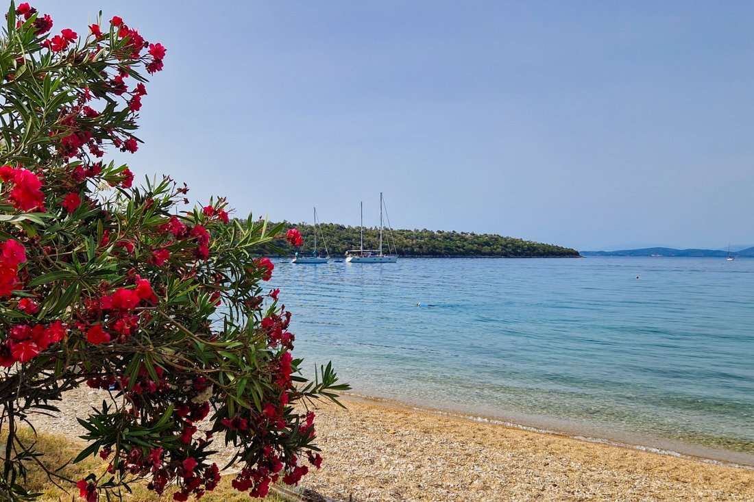 varko_24_cb (16).jpg