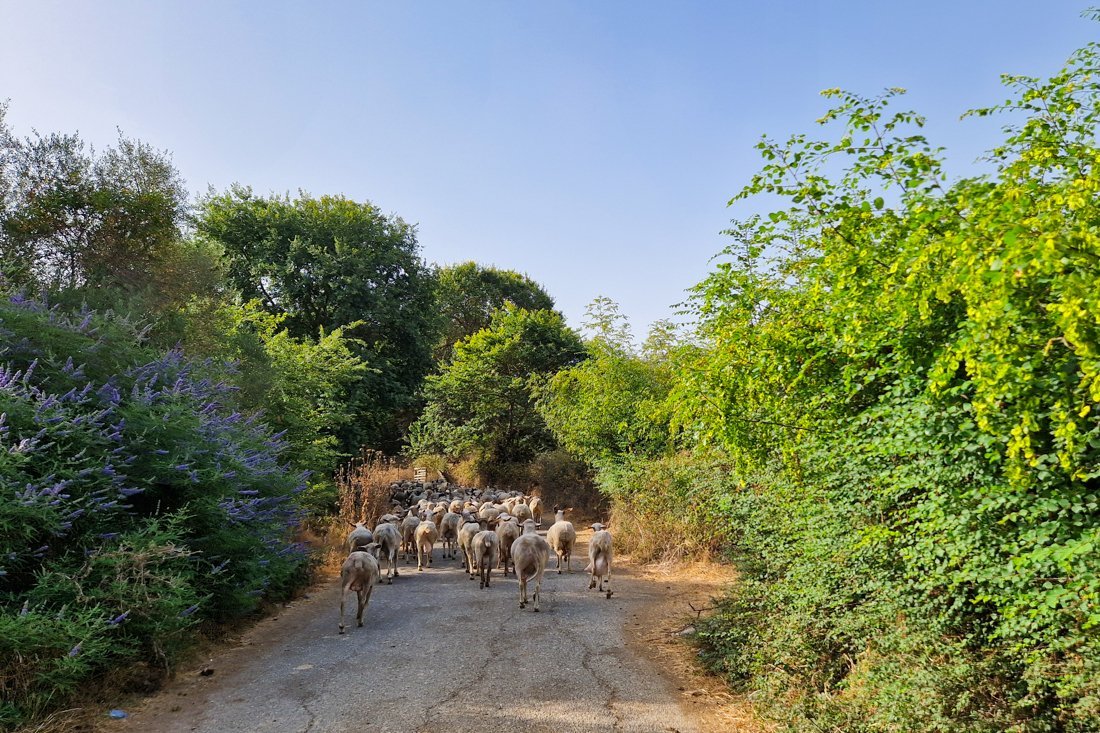 paleros_omgeving_24_cb (5).jpg