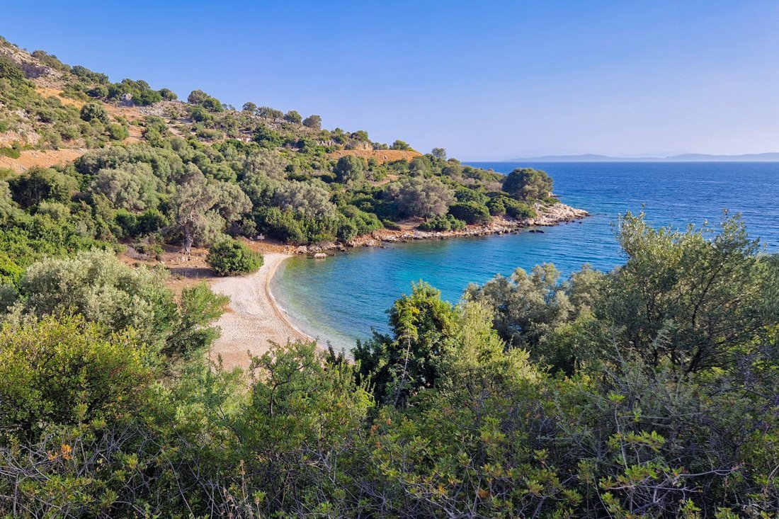 pogonia_opwegnaar_mtikas cb(3).jpg