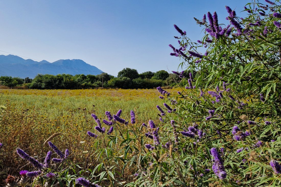 paleros_omgeving_24_cb (1).jpg