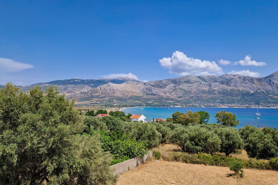 pogonia_24_cb (1).jpg