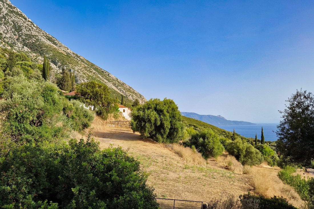 pogonia_24_cb (34).jpg