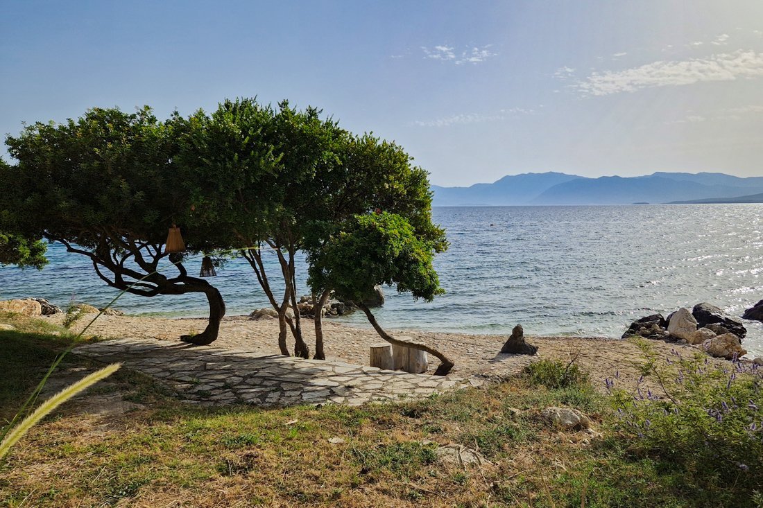 pogonia_24_cb (31).jpg