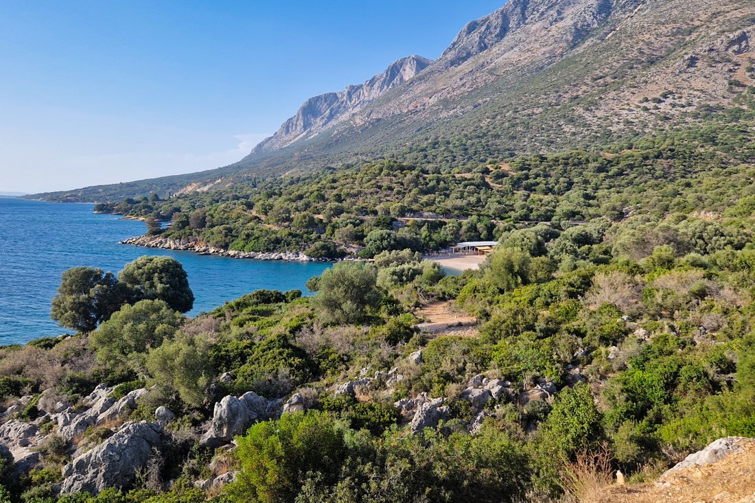 pogonia_opwegnaar_mtikas (5).jpg