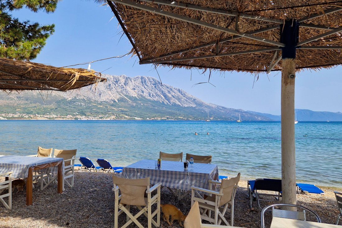 pogonia_24_cb (19).jpg