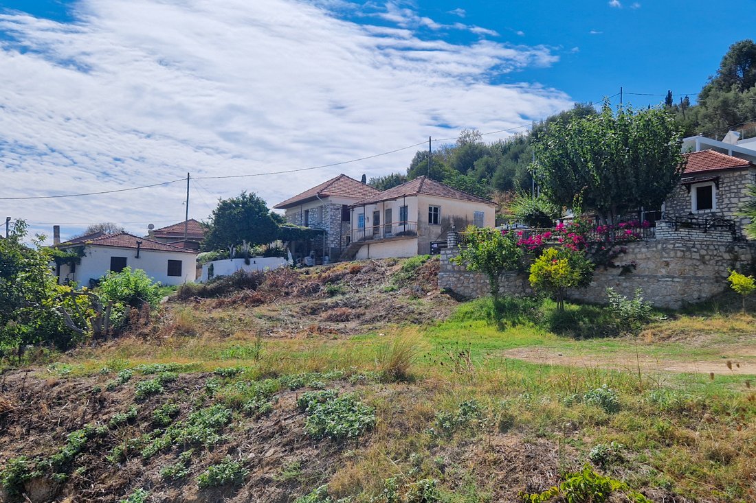 pa_pogonia_24_cb (1).jpg