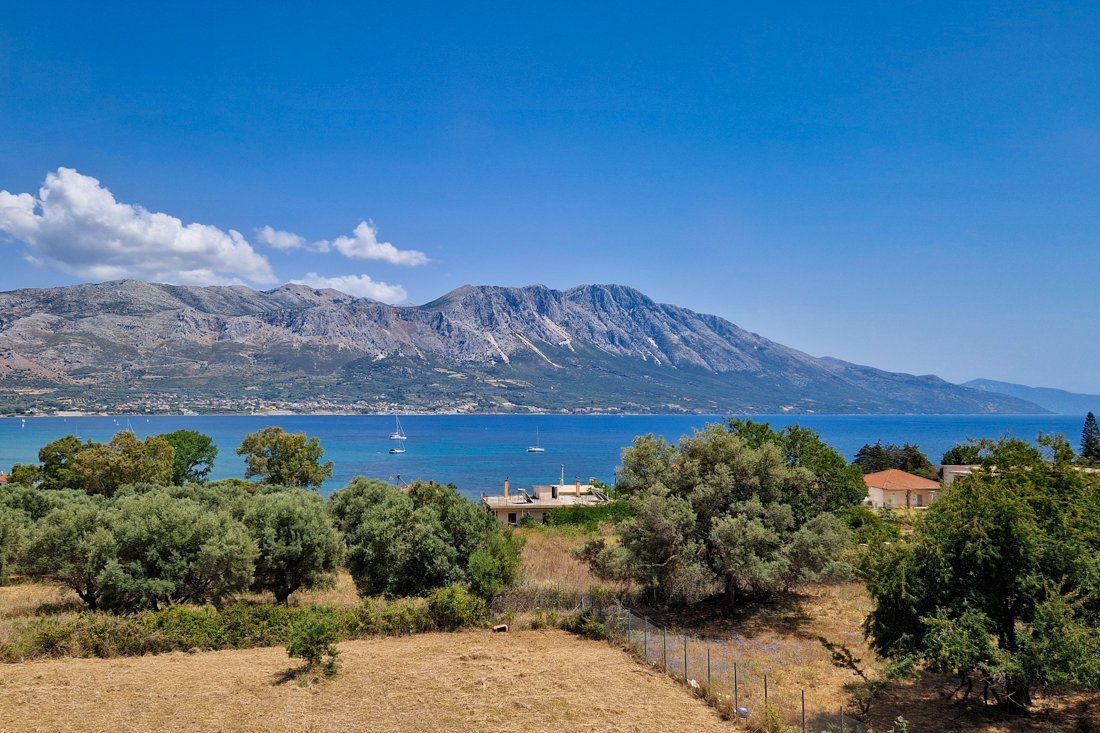 pogonia_24_cb (2).jpg