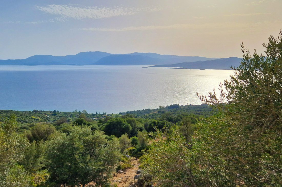 pogonia_24_cb (38).jpg