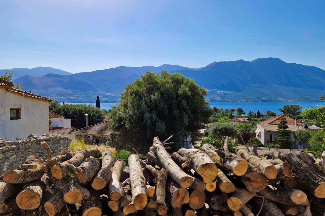 pogonia_24_cb (67).jpg