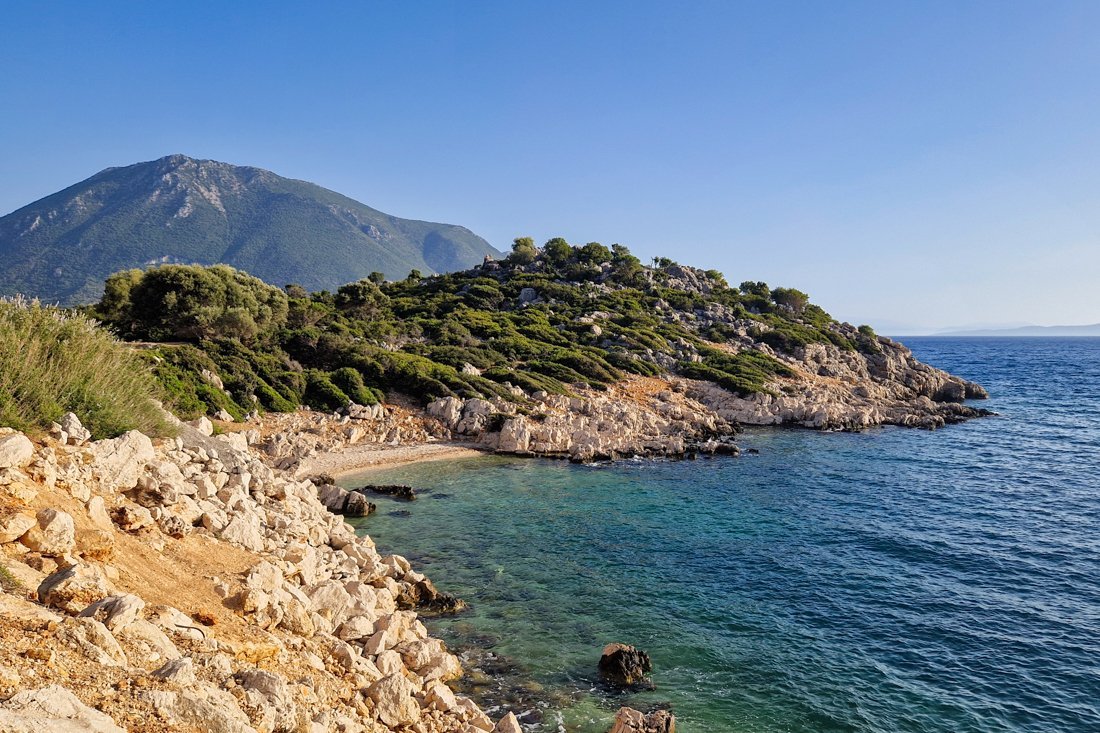 pogonia_opwegnaar_mtikas cb (12).jpg