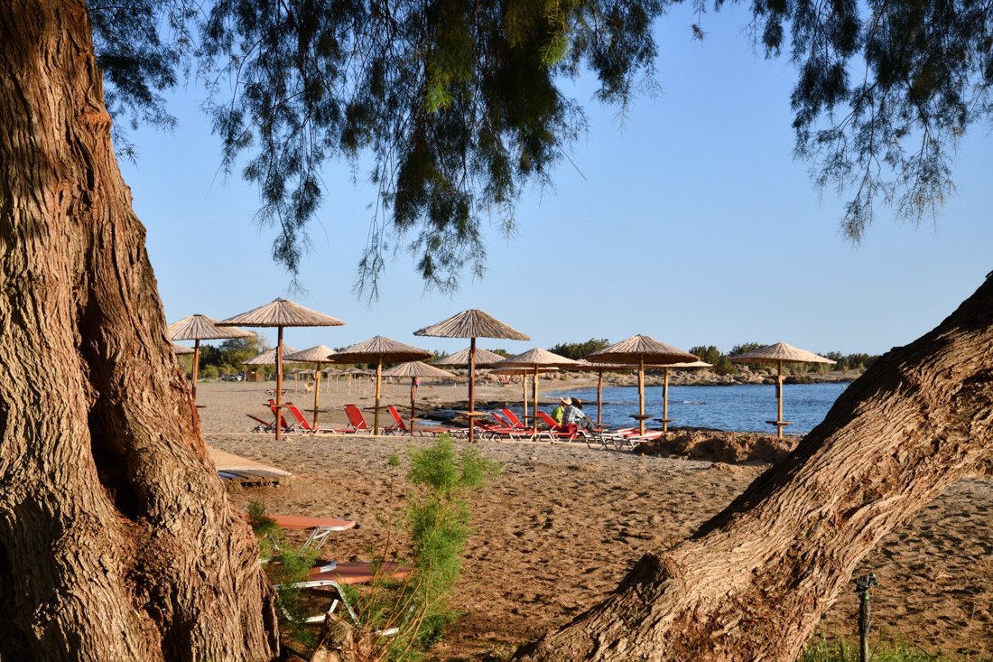 grammeno_24_fanis (4).jpg