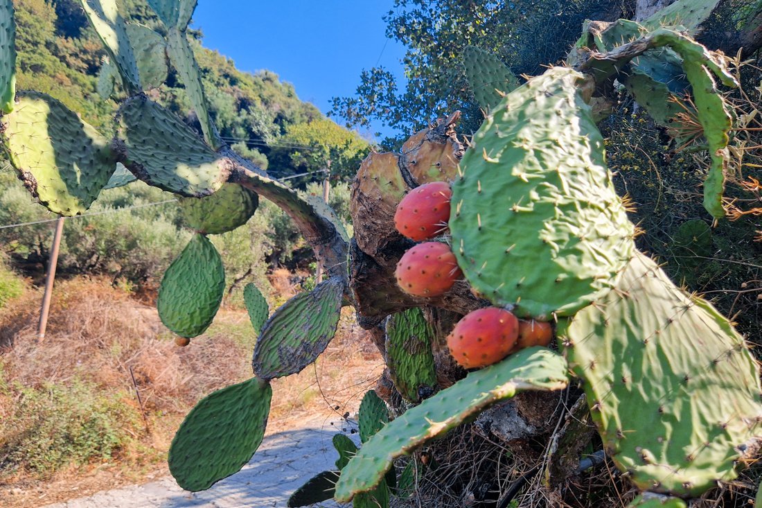 pe_kyparissia_24_cb (75).jpg