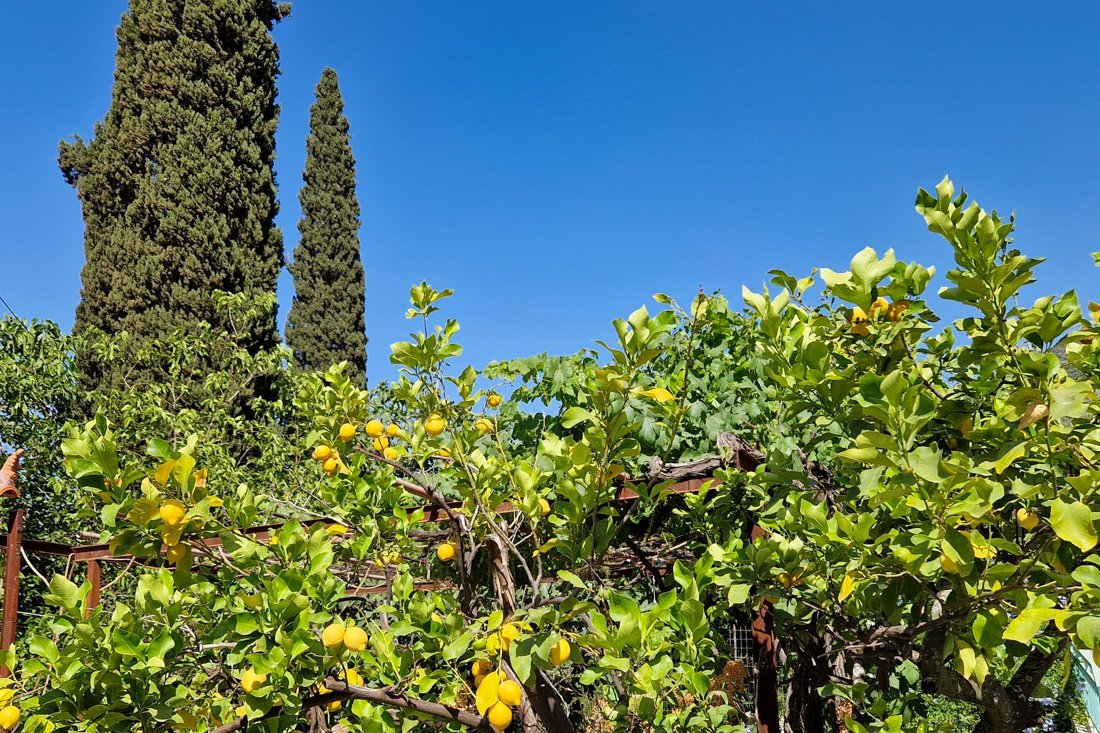 ar_tyros_24_cb (63).jpg