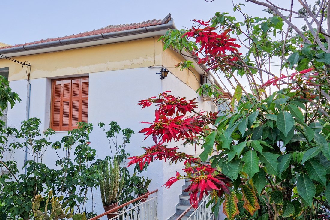 ar_leonidio_24_cb (88).jpg