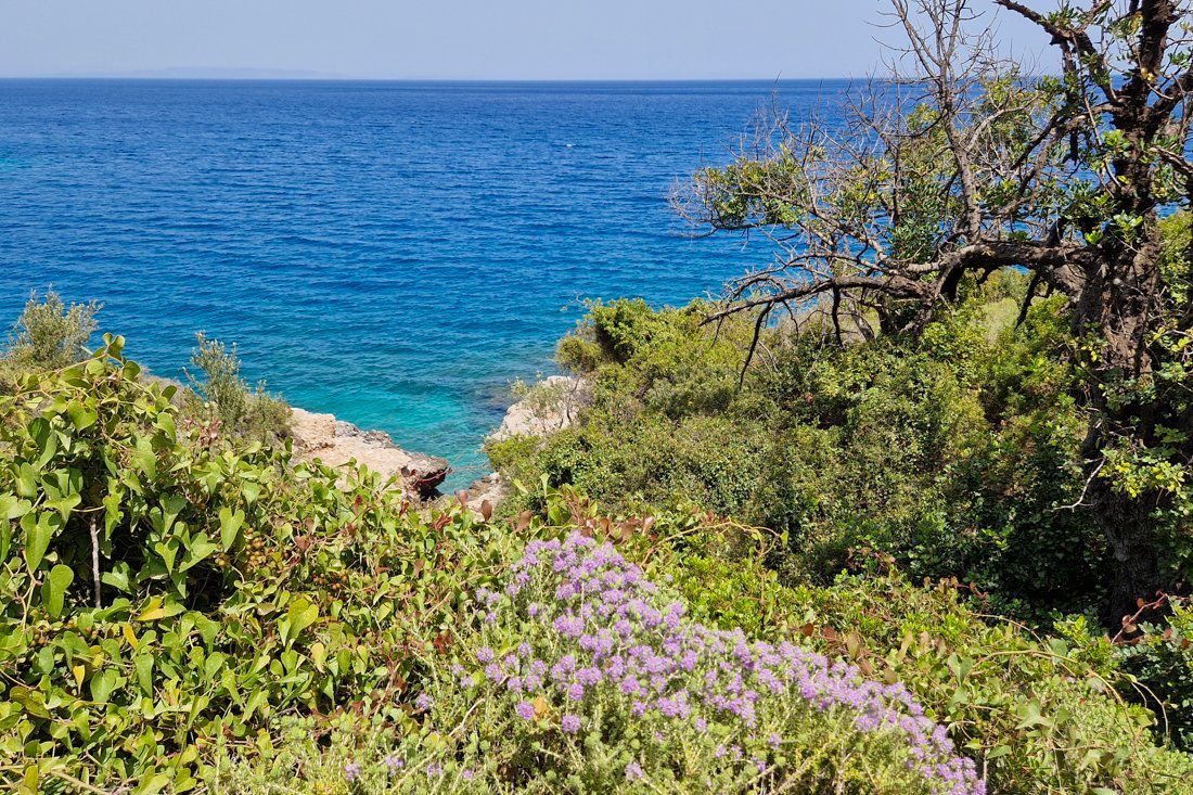 ar_plaka_24_cb (9).jpg