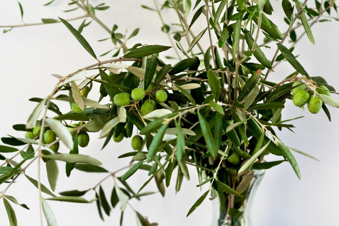 ad_kyparissi_eliea ei(6).jpg