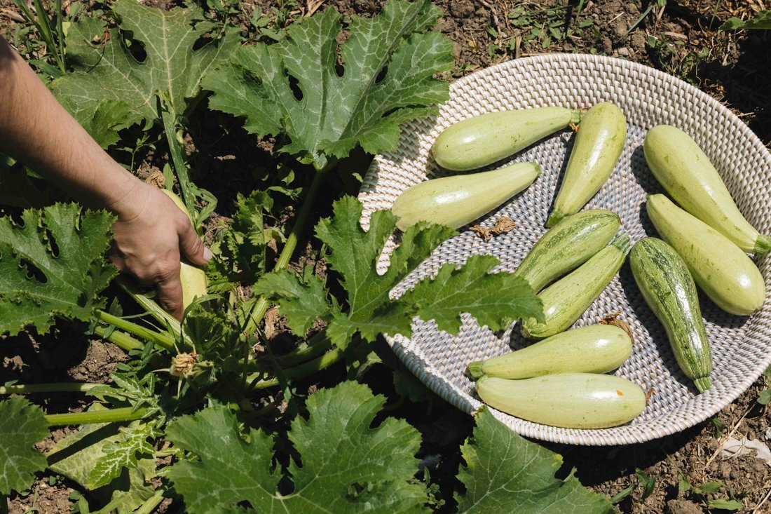 ak_yacht_club_overige_fotografen_pbdh (2).jpg