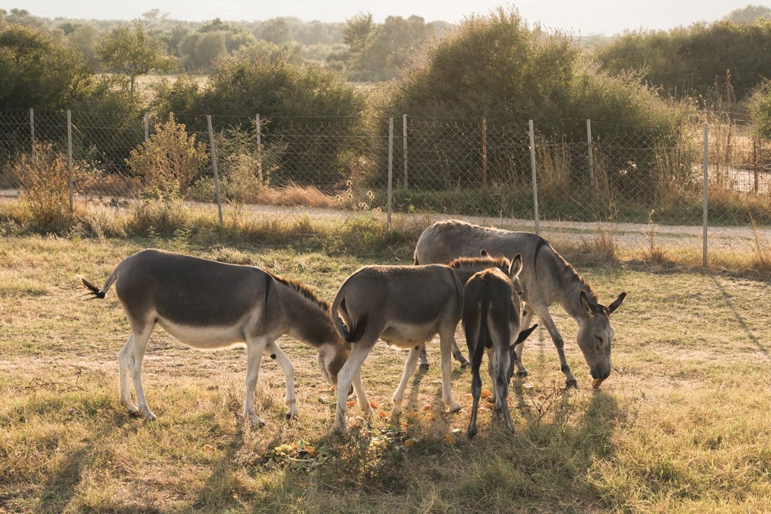 ak_yacht_club_overige_fotografen_pbdh (12).jpg