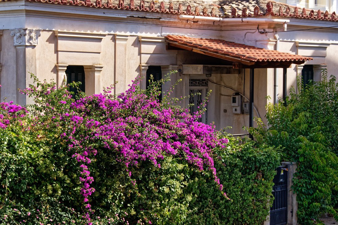 pe_kyparisia_24_ag (8).jpg