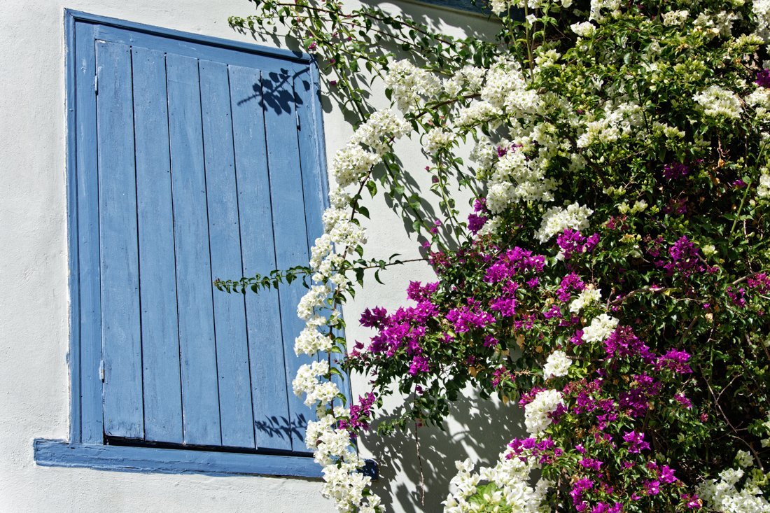 pe_kyparisia_24_ag (11).jpg