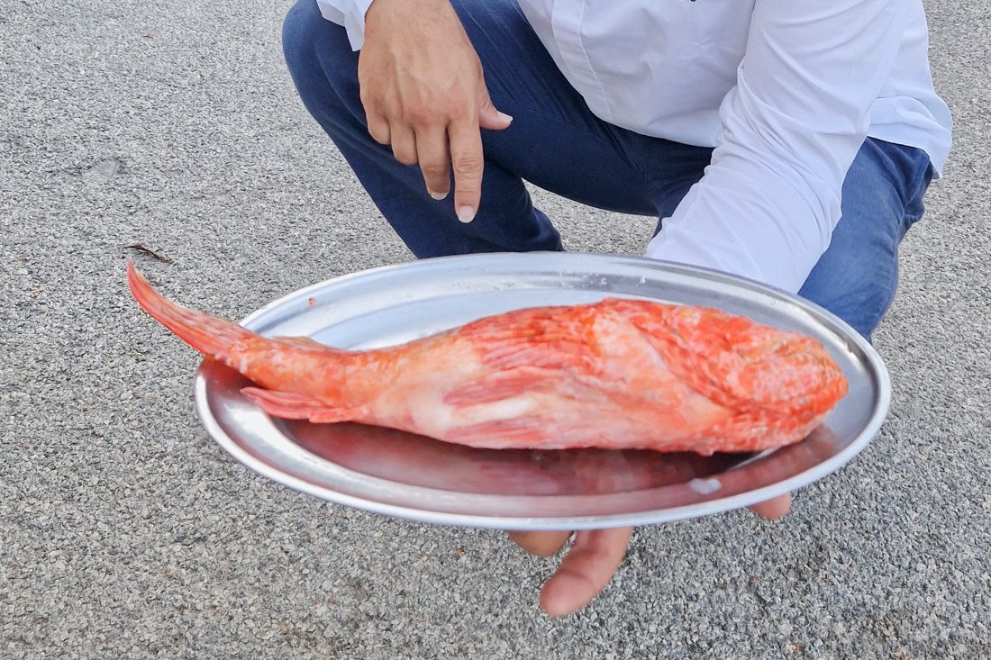 paxos_gaios_bourdeto_24_cb (1).jpg