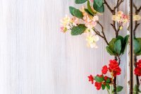 ig_ep_archontiko_dilofo_k2_ei (4).jpg