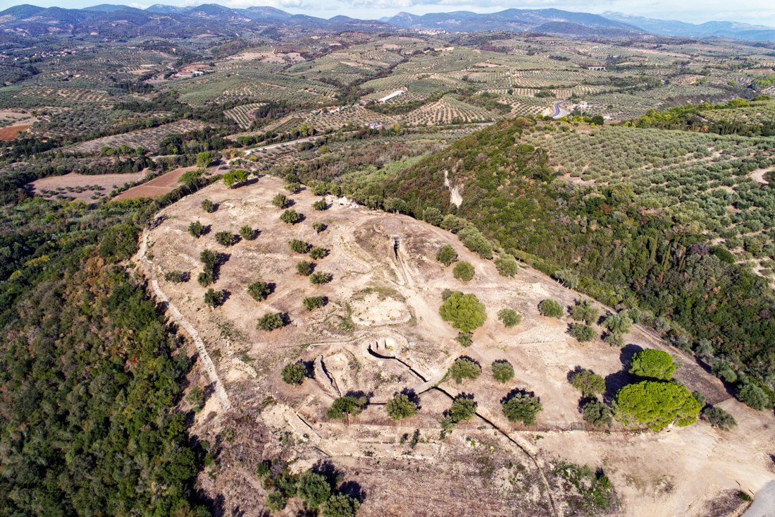 pe_peristeria_24_ag (6).jpg