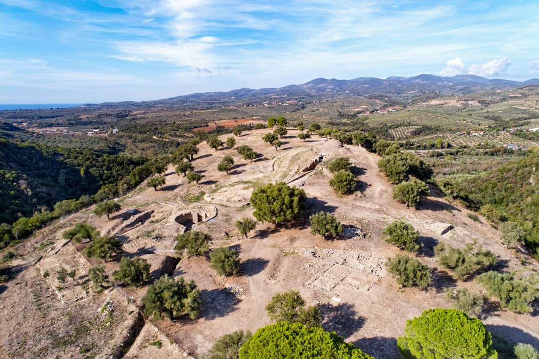 pe_peristeria_24_ag (8).jpg