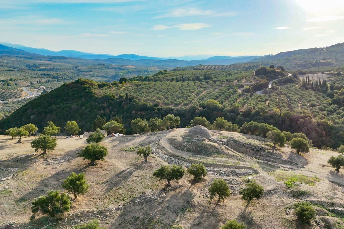 pe_peristeria_fr (5).jpg