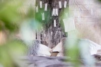 ig_ar_amymonesuites_queensuite_ei (12).jpg