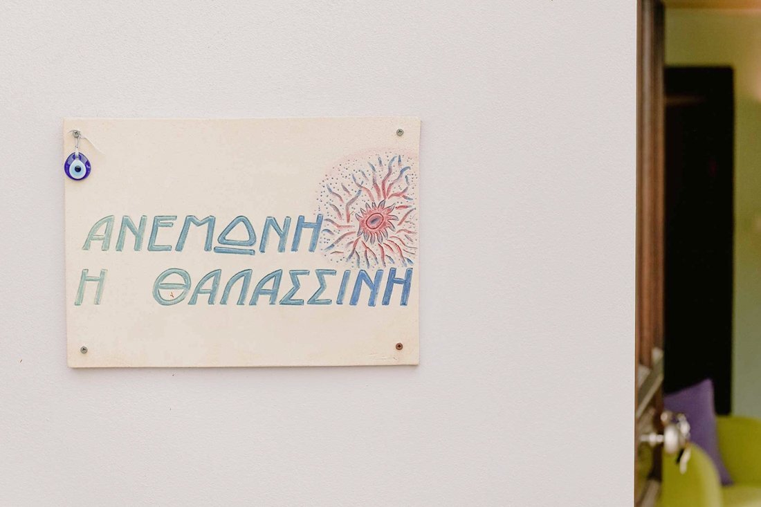 ig_pi_anthillion_anemoni_ei (12).jpg