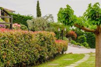 ig_pi_anthillion_ei (11).jpg