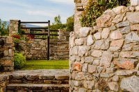 ig_pi_anthillion_ei (38).jpg