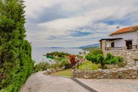 ig_pi_anthillion_ei (1).jpg