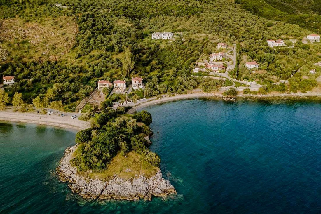 ig_pi_anthillion_ei (20).jpg