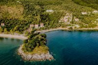 ig_pi_anthillion_ei (20).jpg