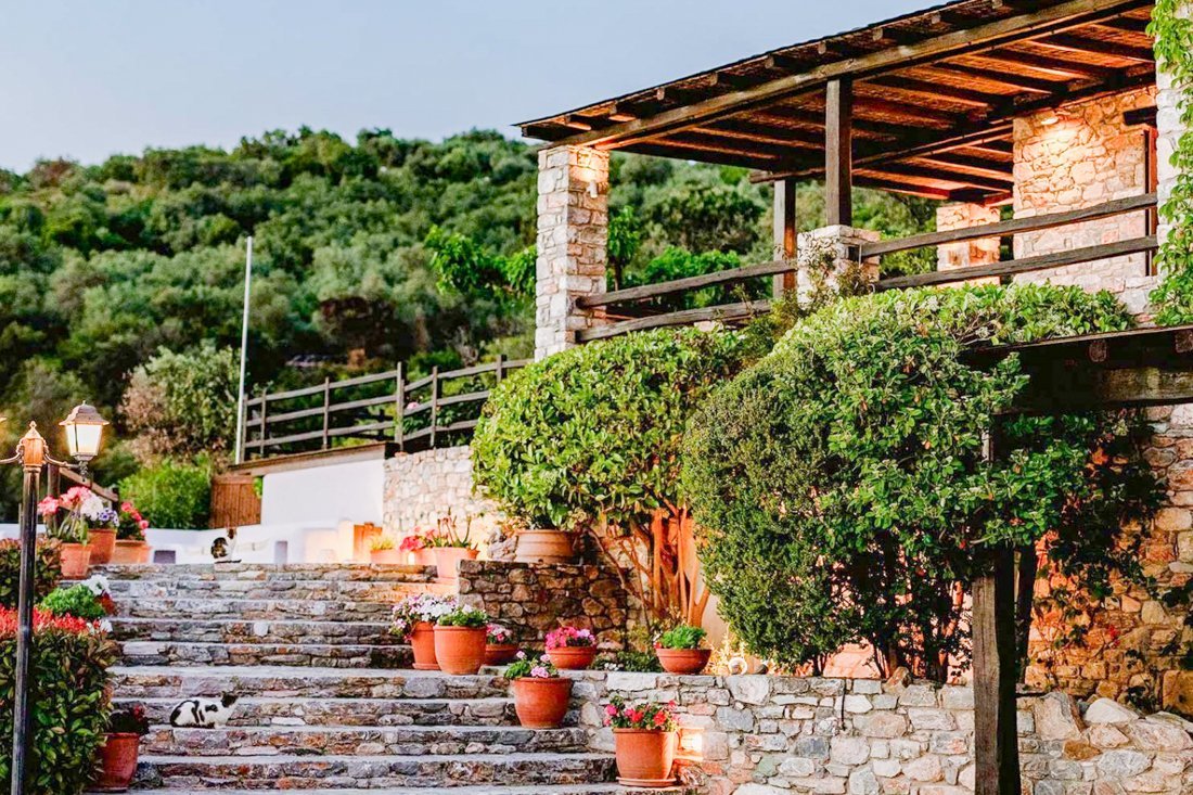 ig_pi_anthillion_ei (12).jpg