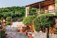 ig_pi_anthillion_ei (12).jpg