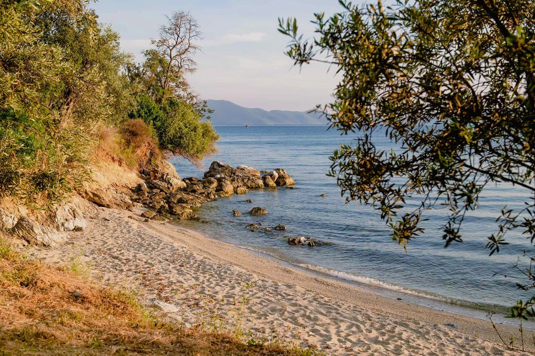 ig_pi_anthillion_ei (44).jpg