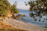 ig_pi_anthillion_ei (44).jpg