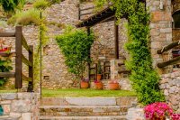 ig_pi_anthillion_ei (28).jpg